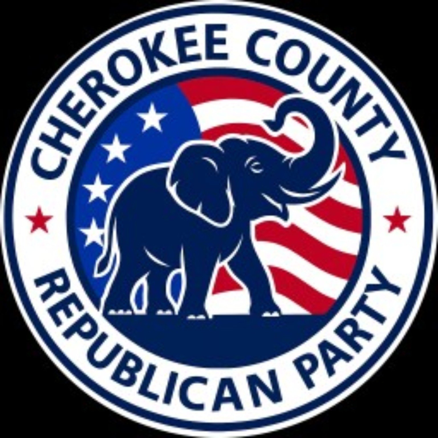 Organization logo